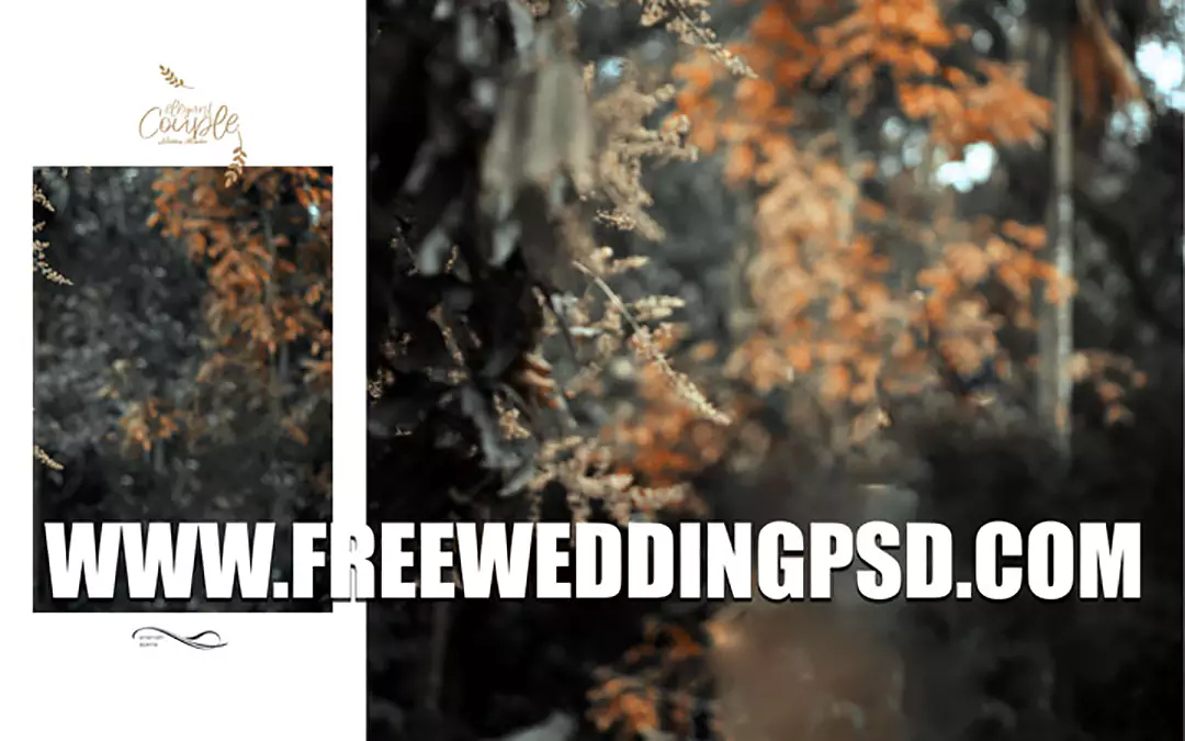 photo album background design psd
